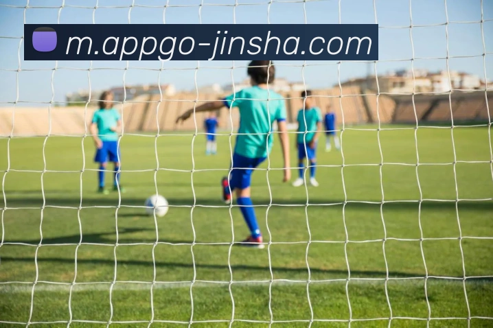 澳门金沙官网平台生态图