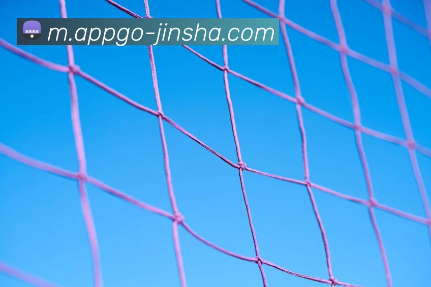 澳门金沙官网APP 封面图